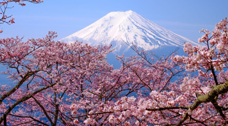 Biaya Pendakian Gunung Fuji di Jepang Ditetapkan Naik Dua Kali Lipat pada Musim Panas 2025