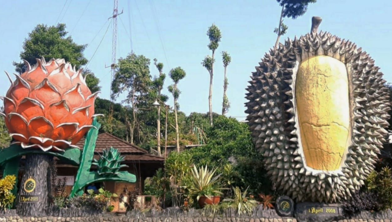 Kebun Durian Warso Farm Bogor: Destinasi Wisata Baru yang Menarik , Bogor, yang dikenal dengan julukan Kota Hujan, kini menawarkan destinasi wisata baru yang unik dan menggoda selera, yaitu Kebun Durian Warso Farm.