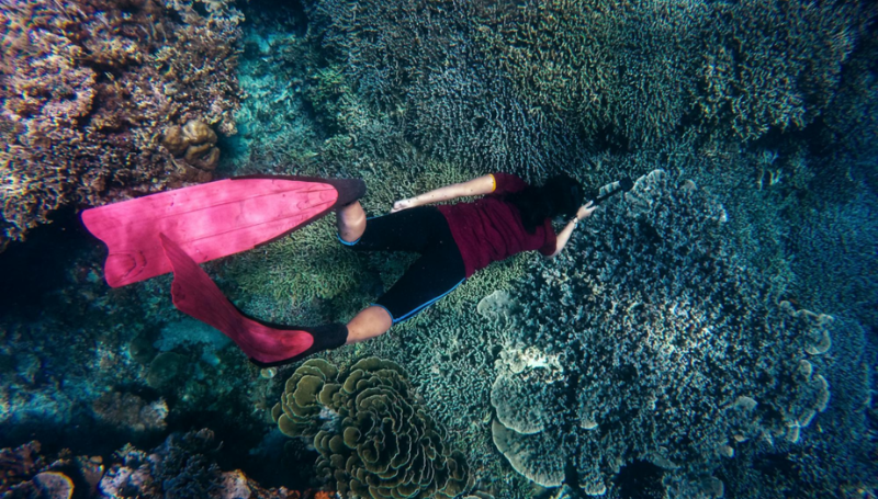 Menjelajahi Surga Diving di Labuan Bajo