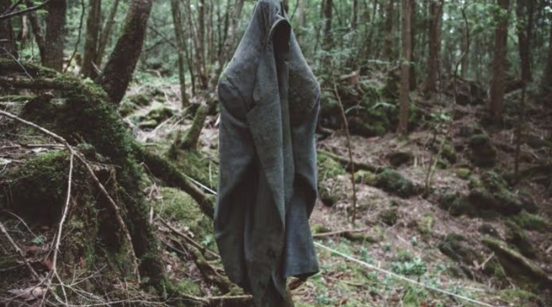 Misteri Aokigahara: Hutan Misterius yang Menarik Wisatawan ke Kaki Gunung Fuji , Salah satu tempat wisata yang paling unik dan misterius adalah Aokigahara, yang terletak di Jepang di kaki Gunung Fuji.